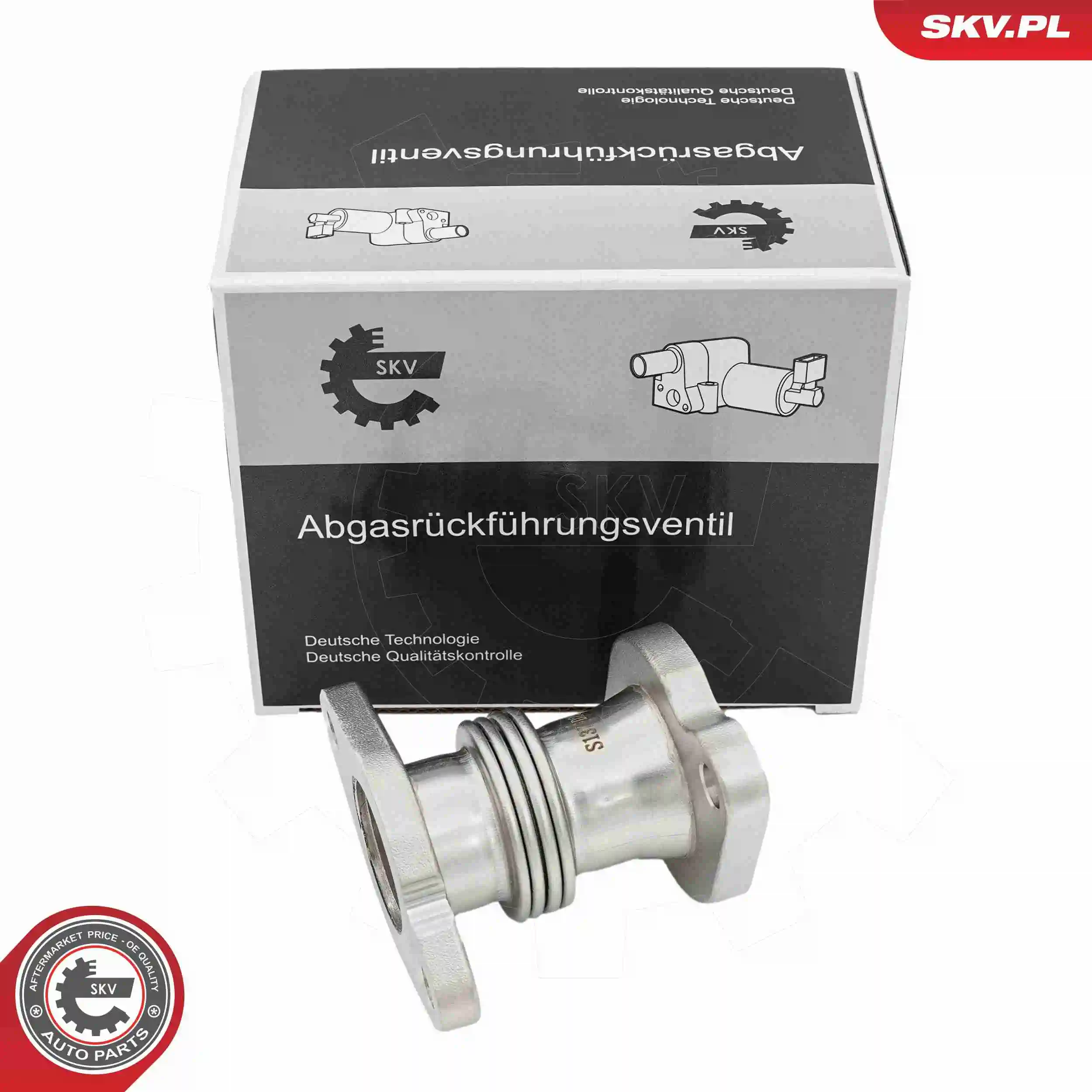 Pipe, EGR valve